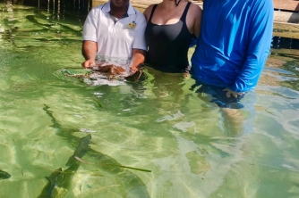 Roatan East End Tour – Saint Helene & Mangroves